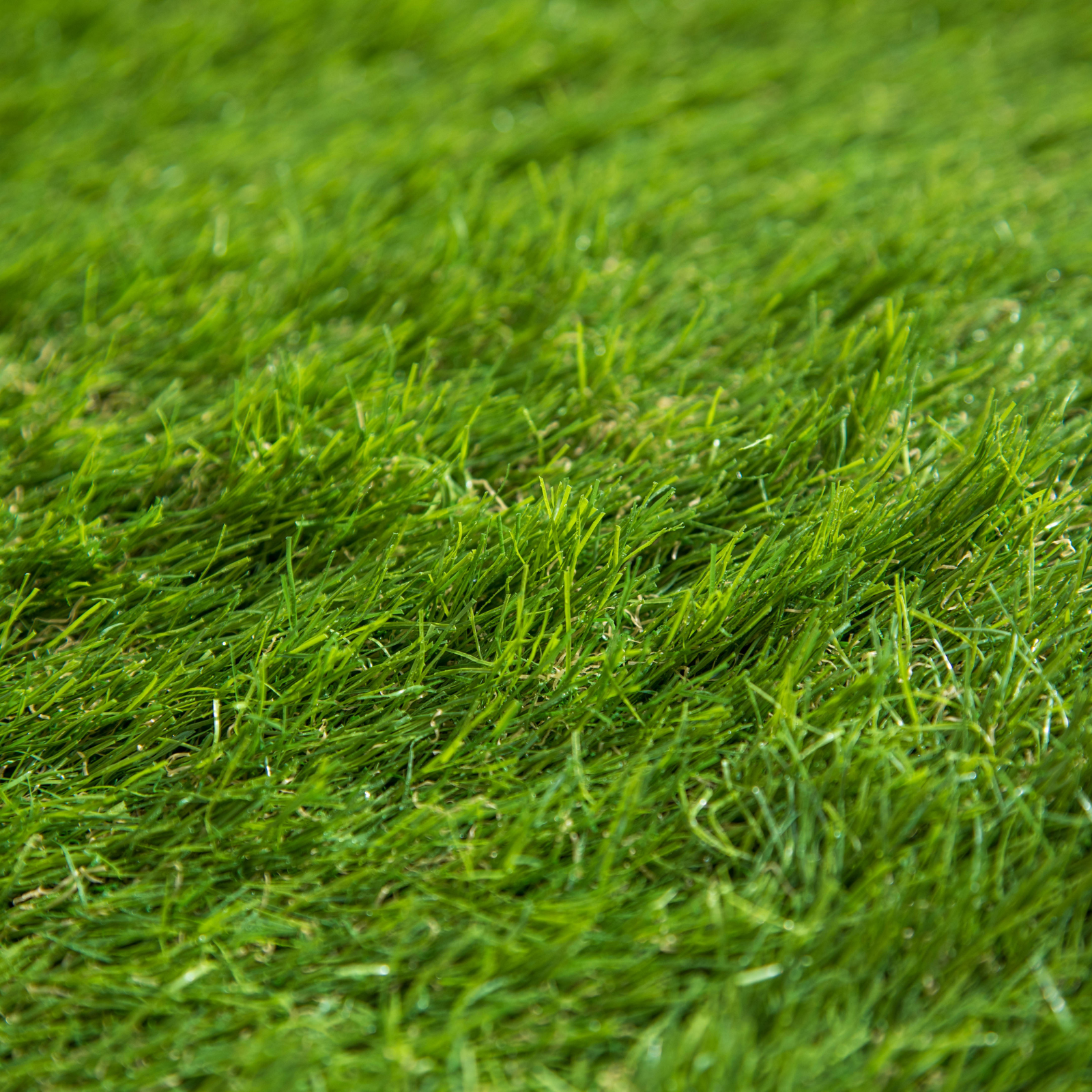 Artificial Grass