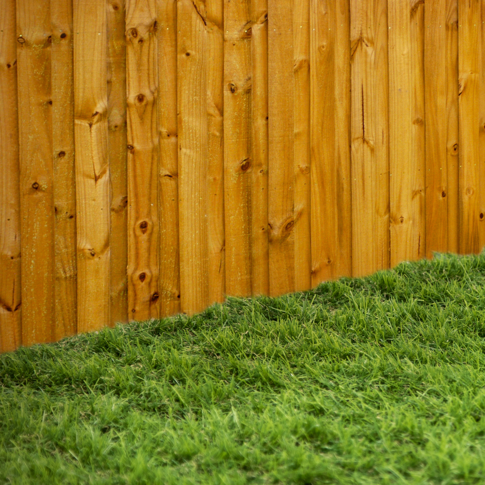 Artificial Grass