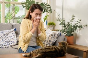 Spring sneezes